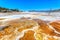 Canary Spring at Mammoth Hot Springs in Yellowstone National Park