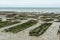 Cancale oysters town low tide