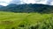 Cancar Spiderweb Rice Fields