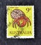 Cancelled postage stamp printed by Australia, that shows Hermit crab
