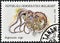 Cancelled postage stamp printed by Madagascar, that shows Greater Argonaut (Argonauta argo)