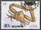 Cancelled postage stamp printed by North Korea, that shows Elbow Crab