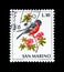 Cancelled postage stamp printed by San Marino, that shows Northern Bullfinch