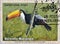 Cancelled postage stamp printed by United Nations, that shows Endangered species - Common Toucan