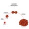 Cancer cell. illustration showing cancer disease development.