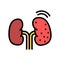 cancer kidney color icon vector illustration