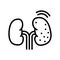 cancer kidney line icon vector illustration