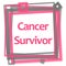 Cancer Survivor Pink Grey Frame