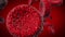 Cancerous blood cells