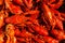 Cancers to beer, boiled crawfish, beer snacks