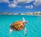 Cancun beach turtle photomount Mexico