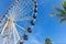 Cancun, Mexico - 20 December, 2019: Observation wheel close to the biggest Cancun Shopping Mall La Isla The Island that