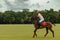 CANCUN, MEXICO - JULY 8, 2018: Argentinean polo player on purebred horse