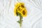 Candid authentic Yellow sunflowers bouquet on fabric white background. Background with bouquet of yellow sunflowers on