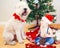 Candid lifestyle portrait of happy surprised funny white Caucasian baby boy in new year Christmas Santa hat sitting on floor