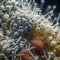 Candida Auris Fungus Close-Up Under Microscope for Medical Research.