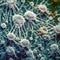 Candida Auris Fungus Close-Up Under Microscope for Medical Research.