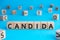 Candida - word from wooden blocks with letters