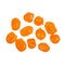 Candied dried kumquat