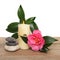 Candle and camellia