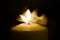Candle flame in the dark background and space for text