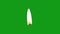 Candle flame with green screen background