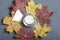 A candle on a glazed candlestick stands on fallen autumn leaves of different colors. All this on a cloth gray background.