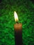 Candle on Green Background