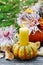 Candle in pumpkin, beautiful garden decoration