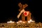 Candles with christmas wooden deer in atmospheric light