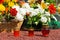 Candles and flowers at cemetery