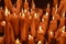 Candles glow at a shrine within the Rosary Basilica of Lourdes catholic pilgrimage site