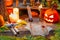 Candles, magic scrolls and pumpkins in the witch house