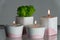 Candles and moss in white and pink concrete candle holders