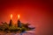 Candles in the shape of Christmas trees on a red background.