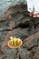 Candomble admirers are seen on top of a rock on the beach, paying homage to Iemanja with gifts