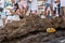 Candomble admirers are seen on top of a rock on the beach, paying homage to Iemanja with gifts