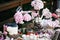 Candy bar. Banquet table full of berries and an assortment of sweets. pie and cake. wedding on the nature.