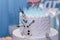 Candy bar, birthday cake for a girl with Olaf snowman, Frozen cartoon character from Walt Disney.