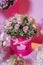 Candy Bar. Bright white interior with lots of pink flowers. Pink powder. Bouquet of delicate pink flowers in round boxes. Stairs a