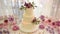 Candy-bar and multi-tiered wedding cakes, decorated cake