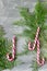 Candy canes and thuja branches on a gray concrete background, Christmas concept with place for text.