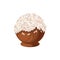 Candy with coconut filling chocolate dessert icon