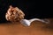 Candy truffle on a dessert fork levitating on a black background. Candy on a beautiful antique fork with a pattern