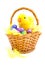 Cane basket with chocolate easter eggs