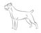 Cane corso dog. Isolated outlined sketch, logo contour vector illustration