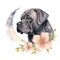 Cane Corso dog Watercolor Generative Ai