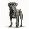 cane corso full body white background realistic 2