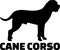 Cane Corso silhouette real word