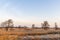 Cane Cultivation Trees Giethoorn